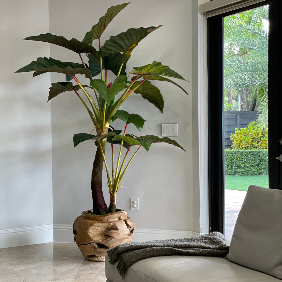Rotating Plant
