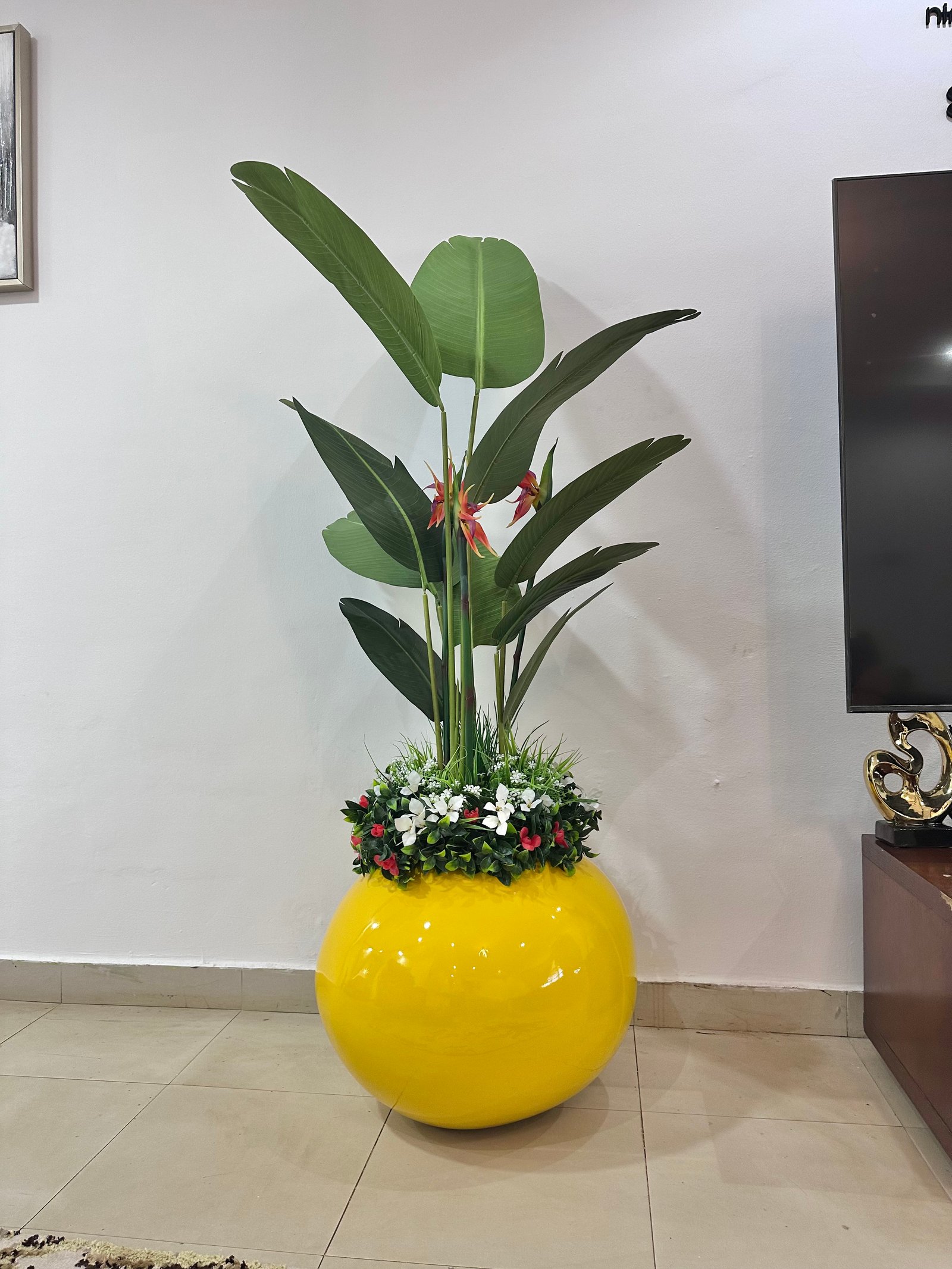 Tropical Collection