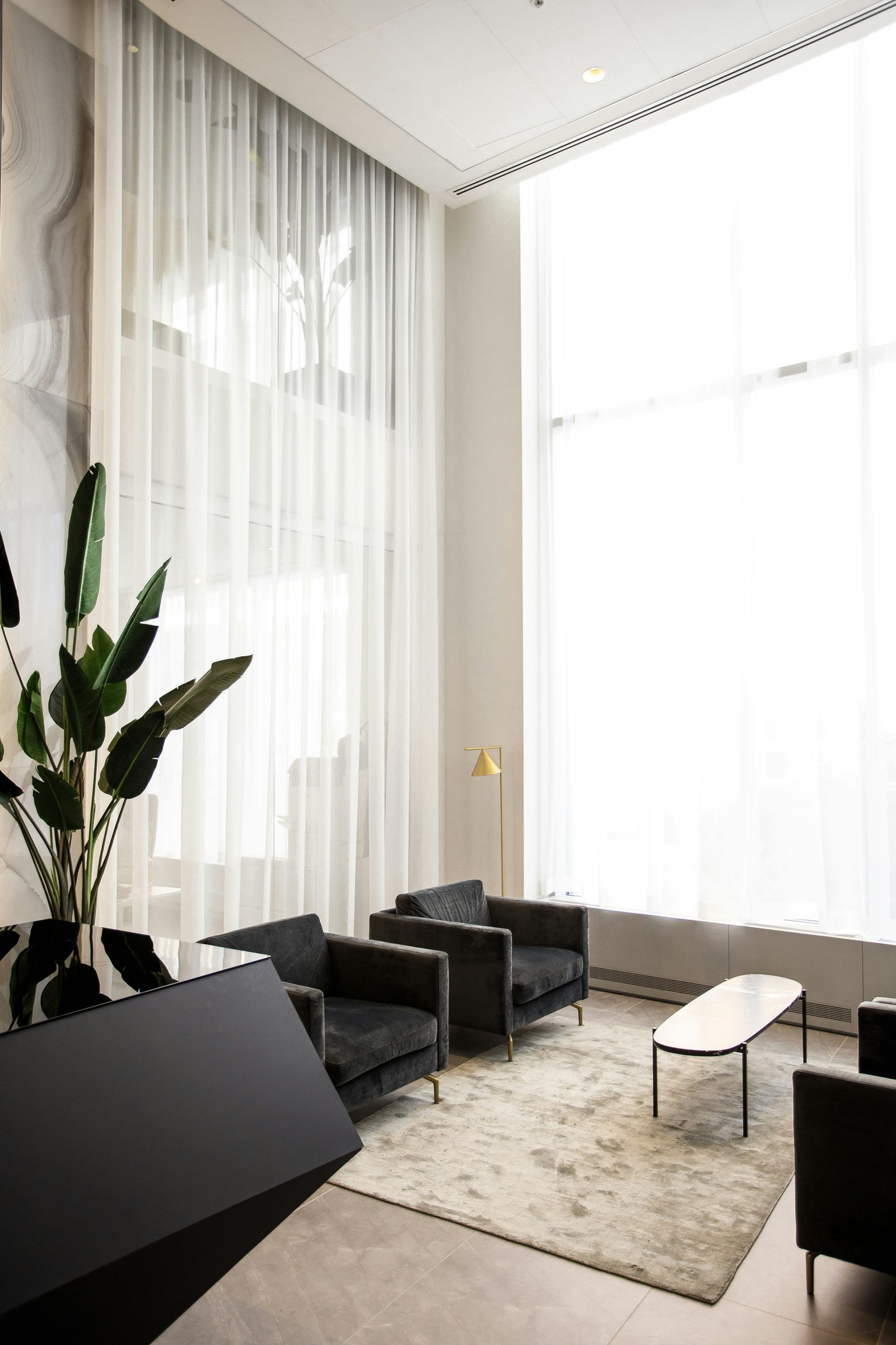 A luxury residential living room styled with a botanical arrangement beside a media console